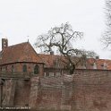 IMG 0000042460