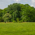PTS-20150517-00079-Pano