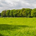 PTS-20150517-00131-Pano