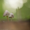 PTS-20131019-00088