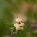 PTS-20131019-00213