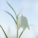 PTS-20160419-00050