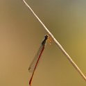 PTS-20140718-00213
