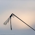 PTS-20140805-00076