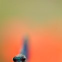 PTS-20130715-00088