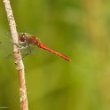 PTS-20130822-00073