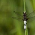 PTS-20130622-00077