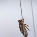 PTS-20140428-00002