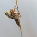 PTS-20140428-00105