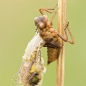 PTS-20140428-00210