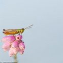 PTS-20140718-00270