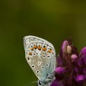 PTS-20130601-00073