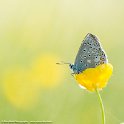PTS-20150524-00069