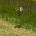 PTS-20130604-00007