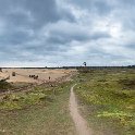 PTS-20160416-00003-Pano