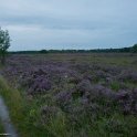 IMG 0000057521
