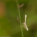 IMG 0000057563