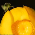 IMG 0000045309-2