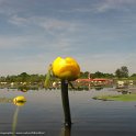 IMG 0000045321