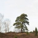 IMG 0000062821