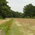 IMG 0000069868