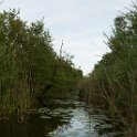 IMG 0000069921