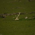 PTS-20130608-00328