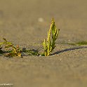 PTS-20140827-00026