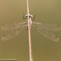 PTS-20140718-00070