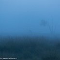 PTS-20140805-00004