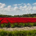 PTS-20150519-00071-Pano