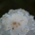 IMG 0000059716