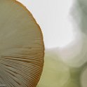 PTS-20131019-00064