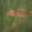 PTS-20131019-00072