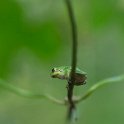 PTS-20160914-00037
