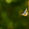PTS-20130809-00218