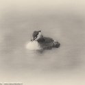 PTS-20160329-00014-2