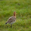 PTS-20160329-00023