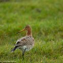 PTS-20160329-00024