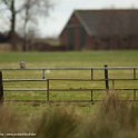 PTS-20160329-00044