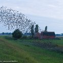 PTS-20140825-00034