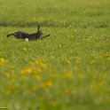 PTS-20130507-00058