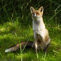 PTS-20130903-00036