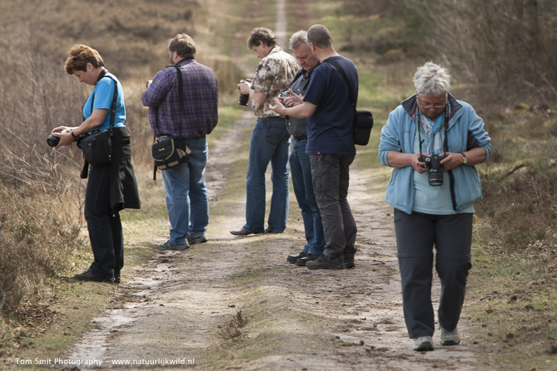 Foto's van de workshops