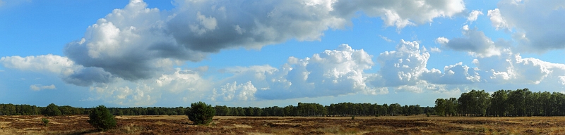 Panoramafotografie - Hoge Veluwe